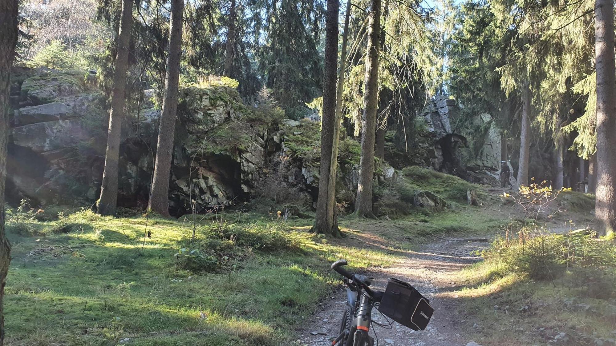 Bringfriede