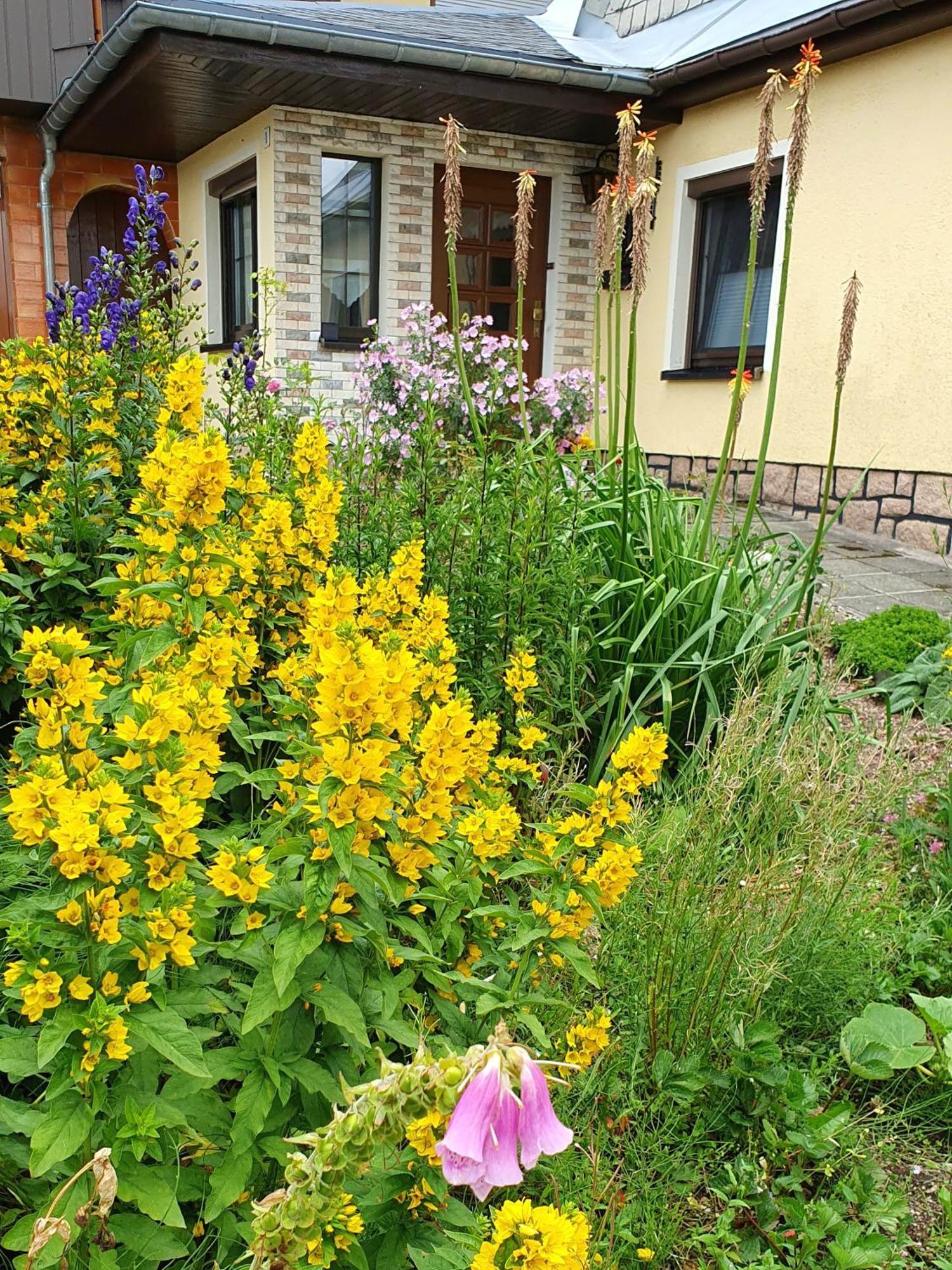 Apartment Bringfriede Muldenhammer